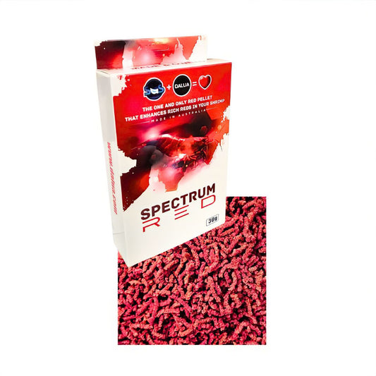 Shrimp Food Spectrum Red