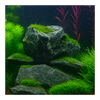 Seiryu Stone