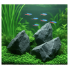 Snake Stone