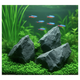 Snake Stone
