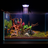 The Tini Aquascaper LED