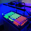 Glow in the Dark Frag Kit