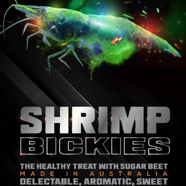 Shrimp Bickies SAS