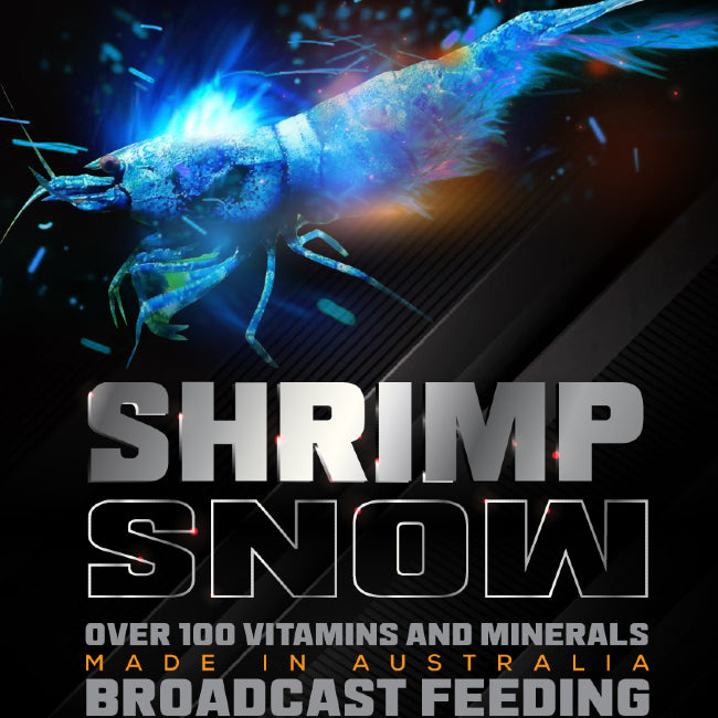 Shrimp 3 in 1 Starter by SAS