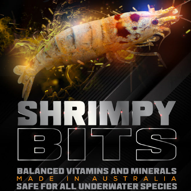 Shrimp Bits SAS