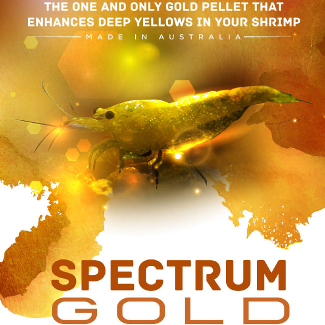 Shrimp Food Spectrum Gold