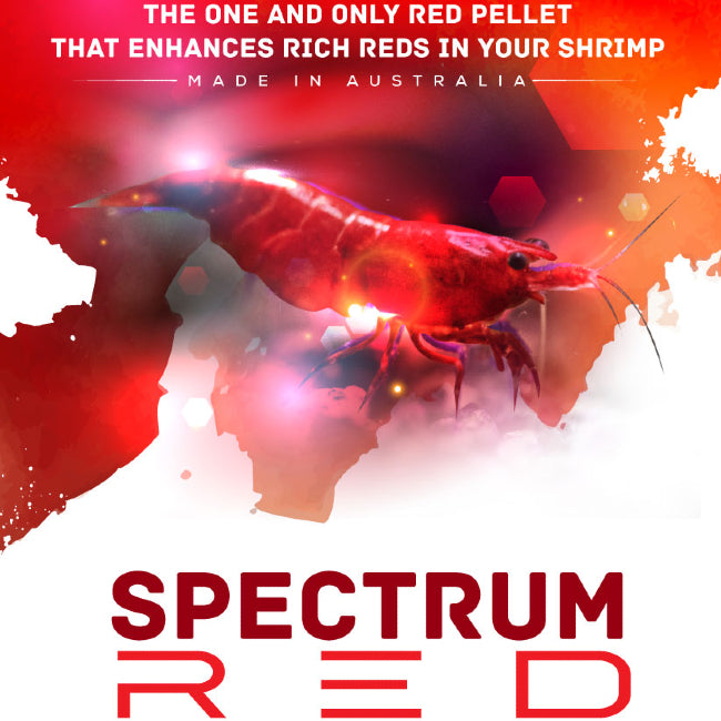 Shrimp Food Spectrum Red